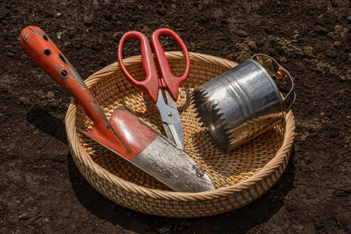 シェア畑garden 星が丘のサムネイル画像 4