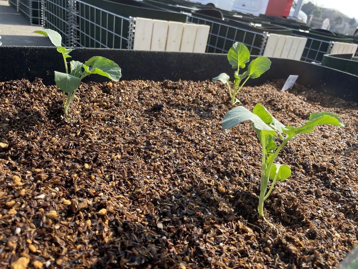 シェア畑garden 星が丘のサムネイル画像 5