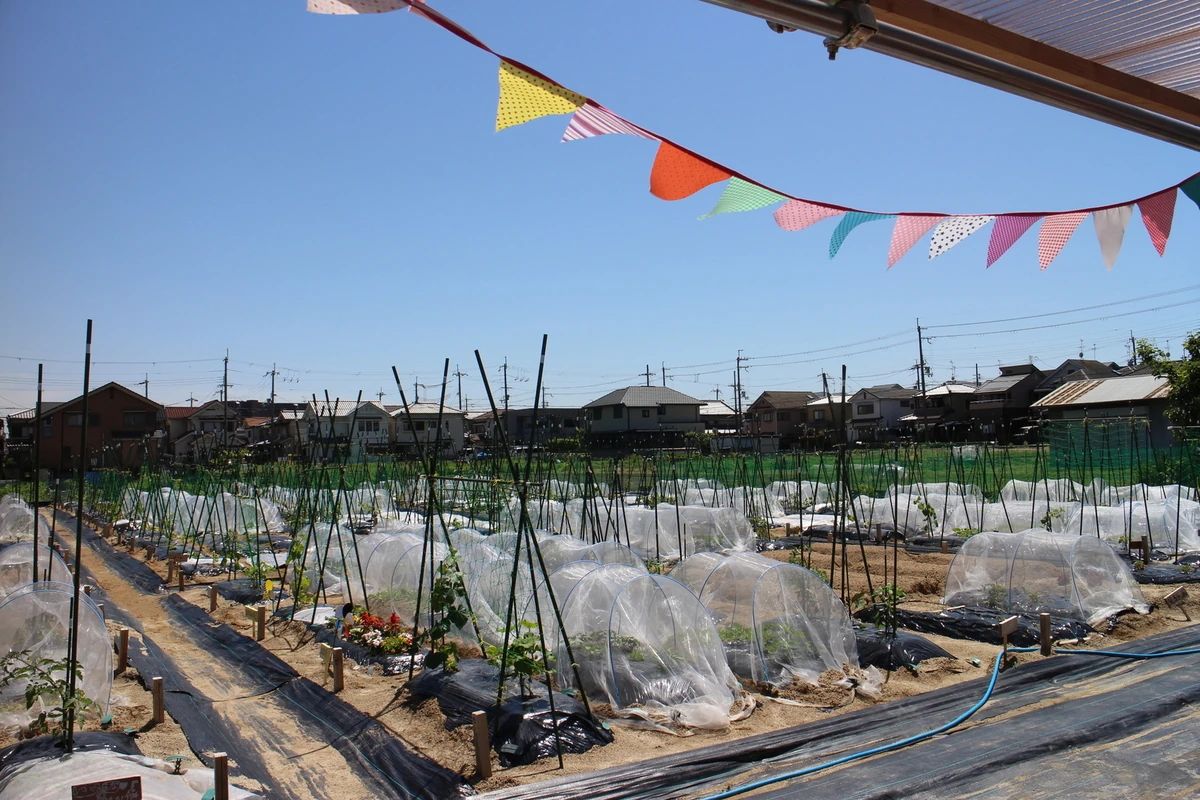 シェア畑 高槻郡家のメイン画像