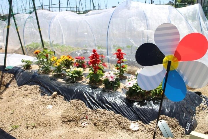 シェア畑 高槻郡家のサムネイル画像 2