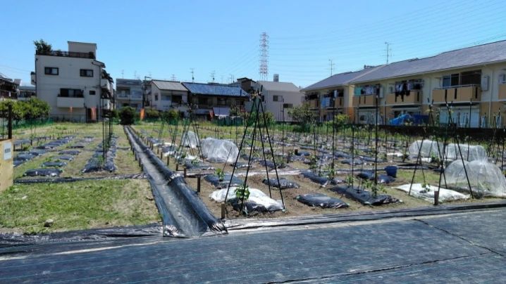 シェア畑 門真のサムネイル画像 4