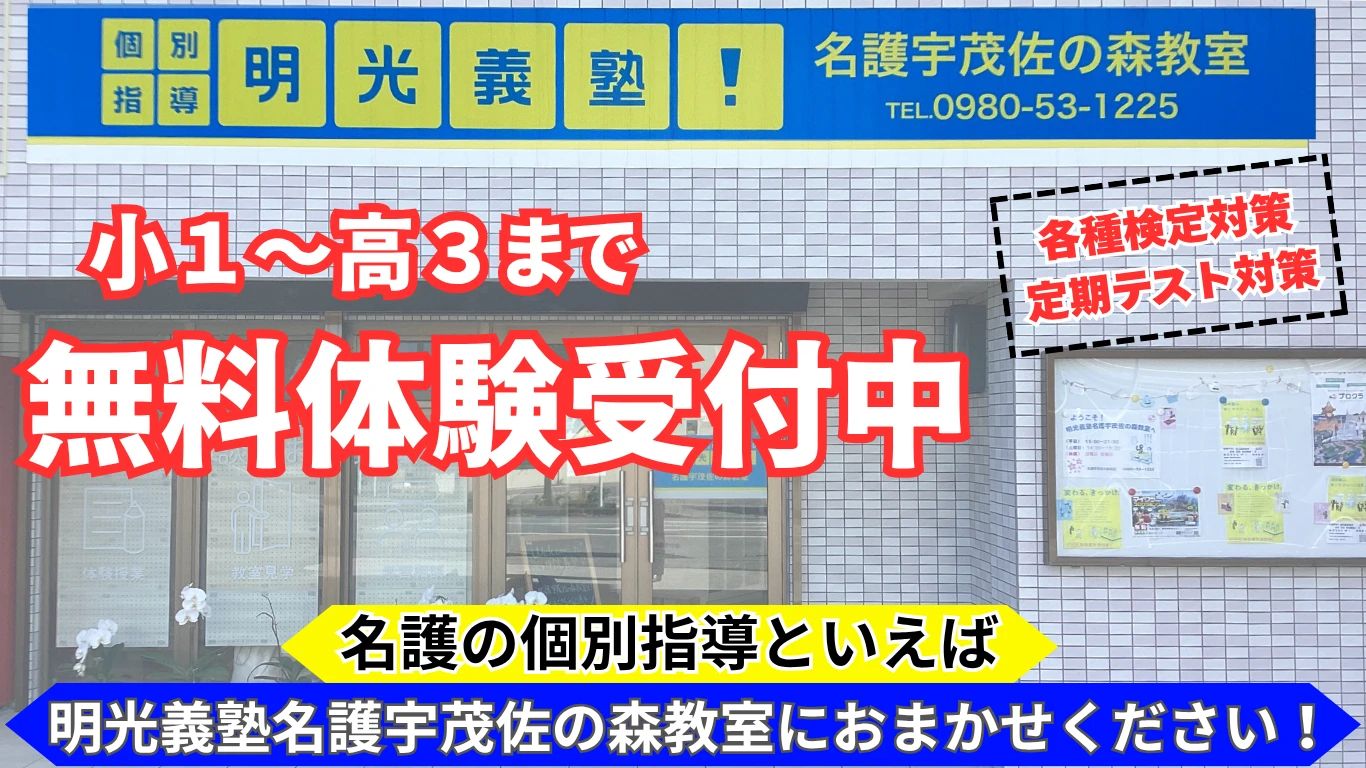 プロクラ 明光義塾 名護宇茂佐の森教室のメイン画像