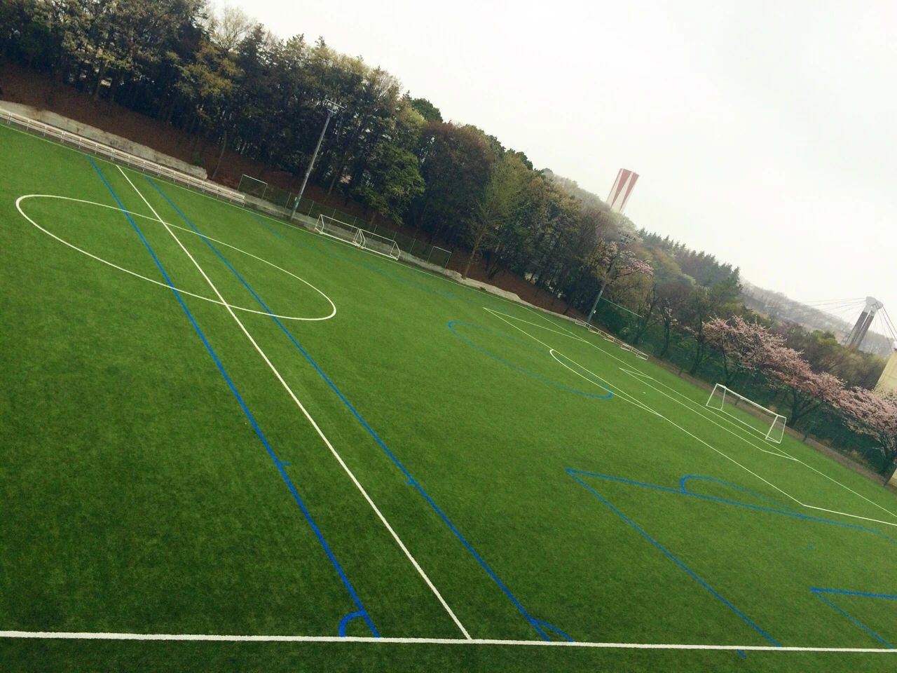 あざみ野FC 南豊ヶ丘フィールドのサムネイル画像 5