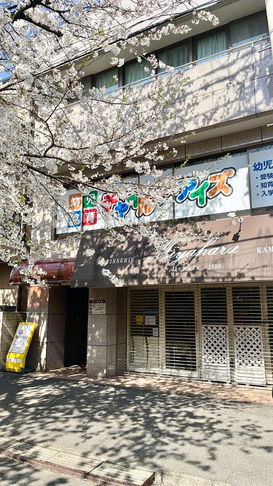 プログラミング教育 HALLO チャイルド・アイズ 上北沢校のサムネイル画像 5