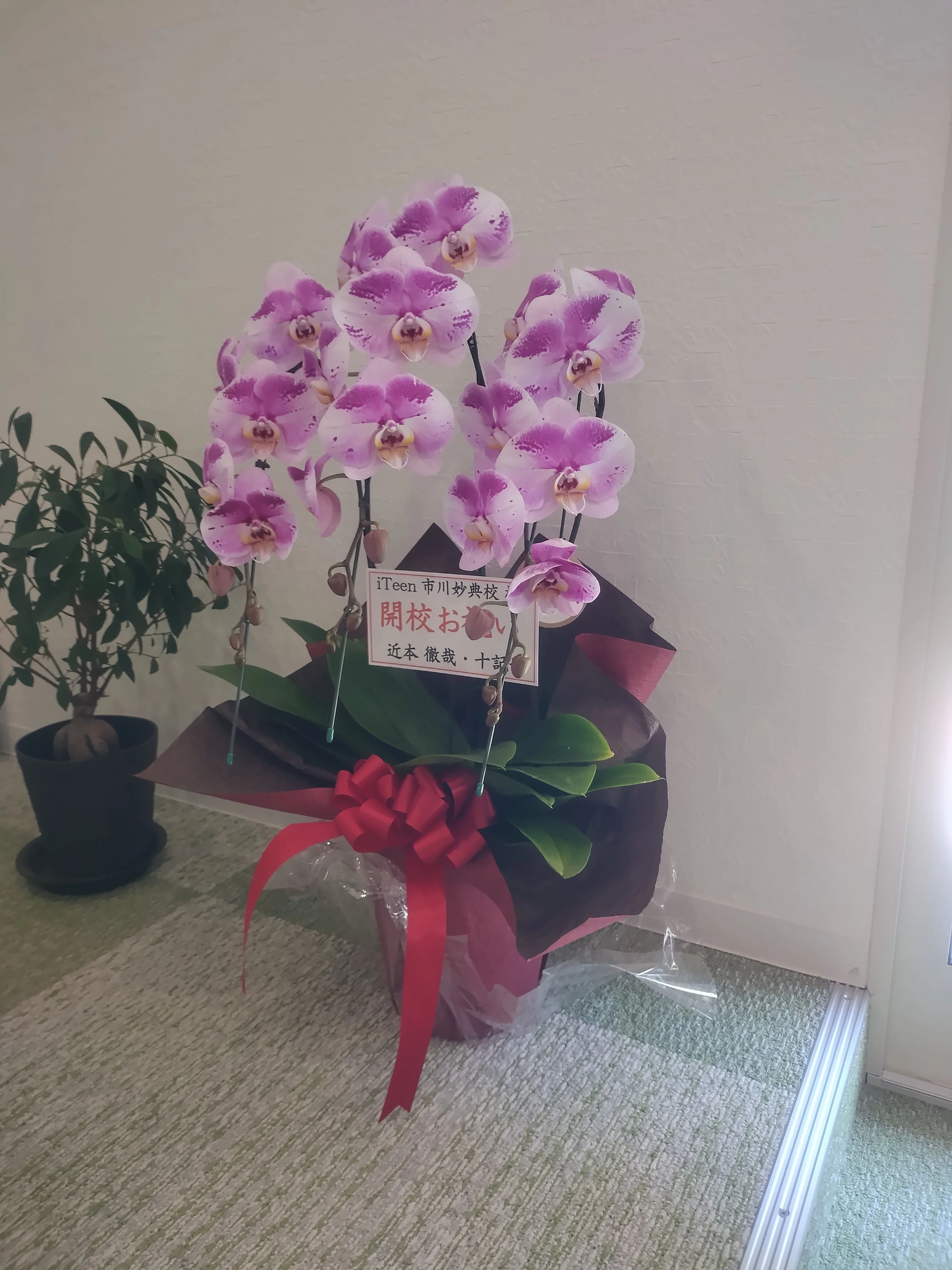 iTeen市川妙典校のサムネイル画像 3