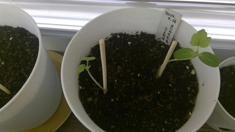 iTeen 新下関駅前校のサムネイル画像 3