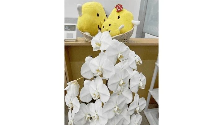 個別指導Axisロボットプログラミング講座 本諫早駅前校のサムネイル画像 5