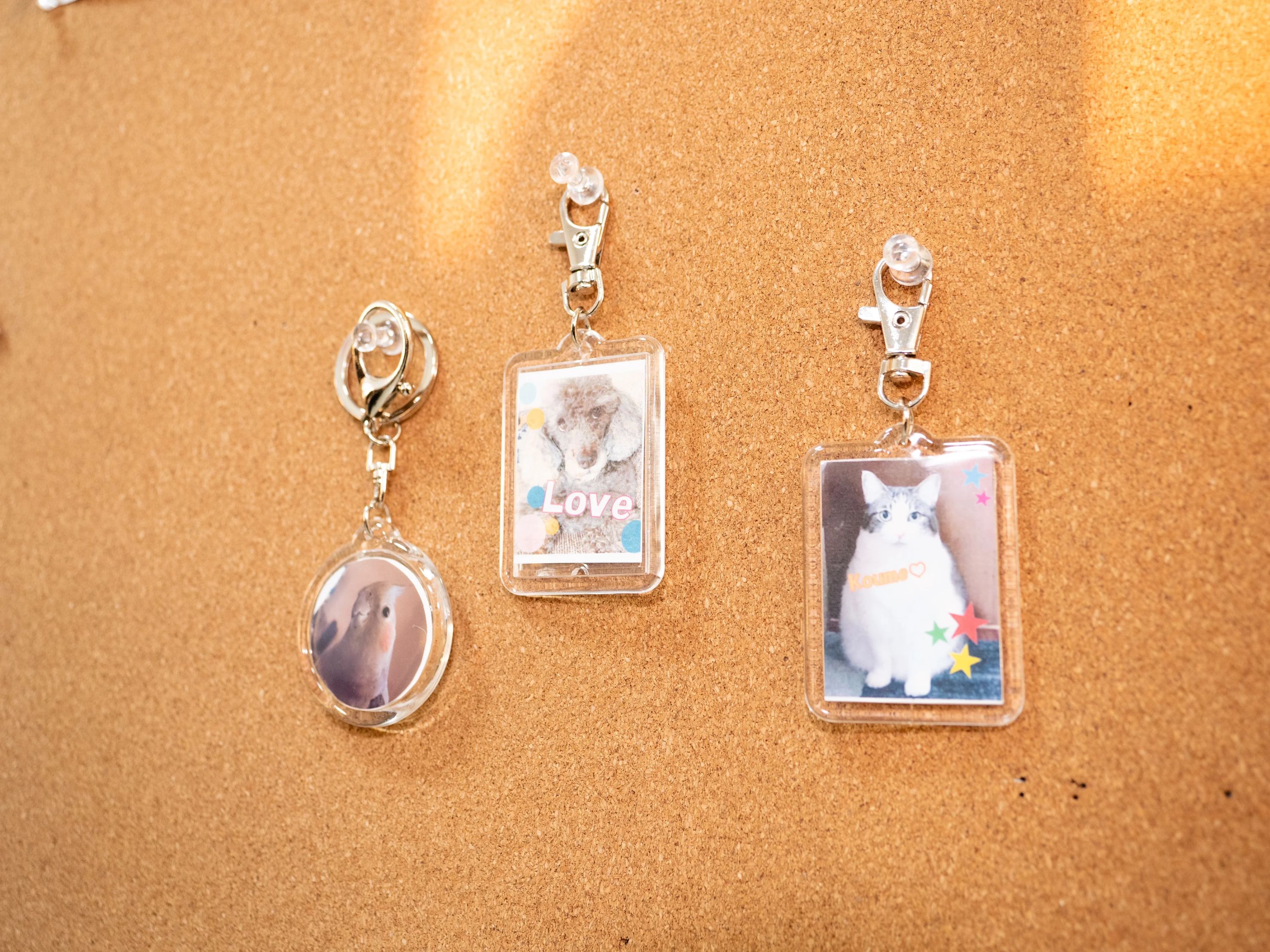 ひよこFIA(ひよこパソコン教室) 野田泉校のメイン画像