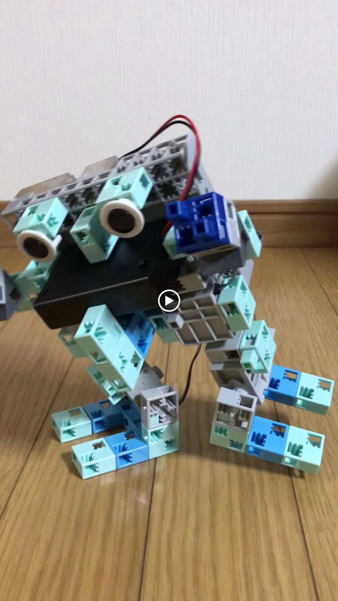 バレッドキッズ 赤坂教室のメイン画像