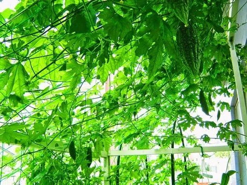 エジソンアカデミー パソコンBini元住吉スクールのサムネイル画像 2