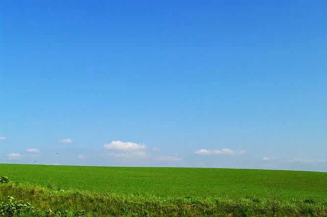 エジソンアカデミー 大東尚学館のサムネイル画像 4