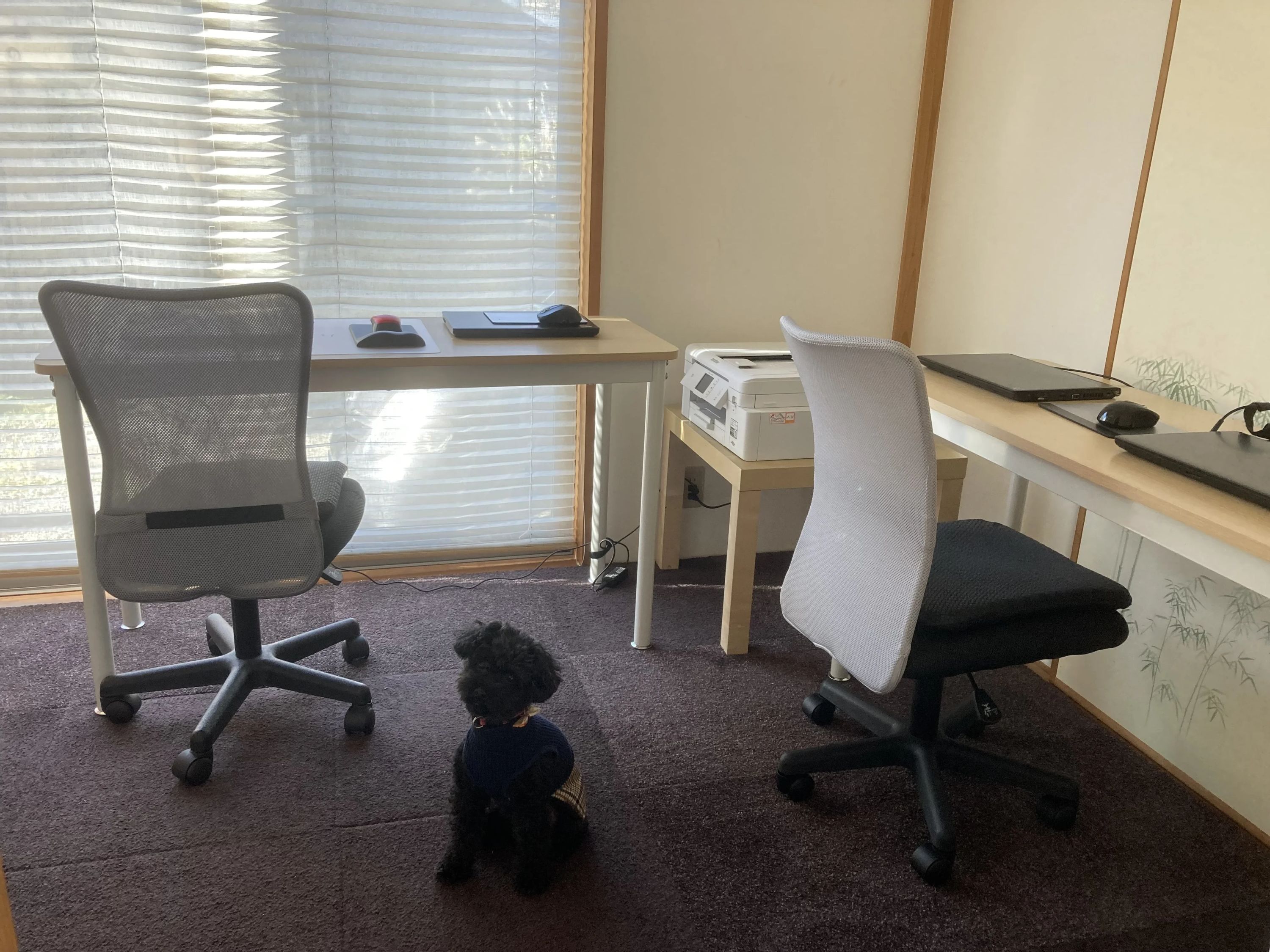 Kidsプログラミングラボ 舞岡教室のメイン画像