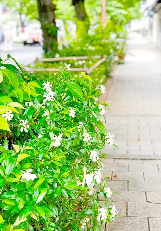 Kidsプログラミングラボ 県立芦屋高校前教室のサムネイル画像 5