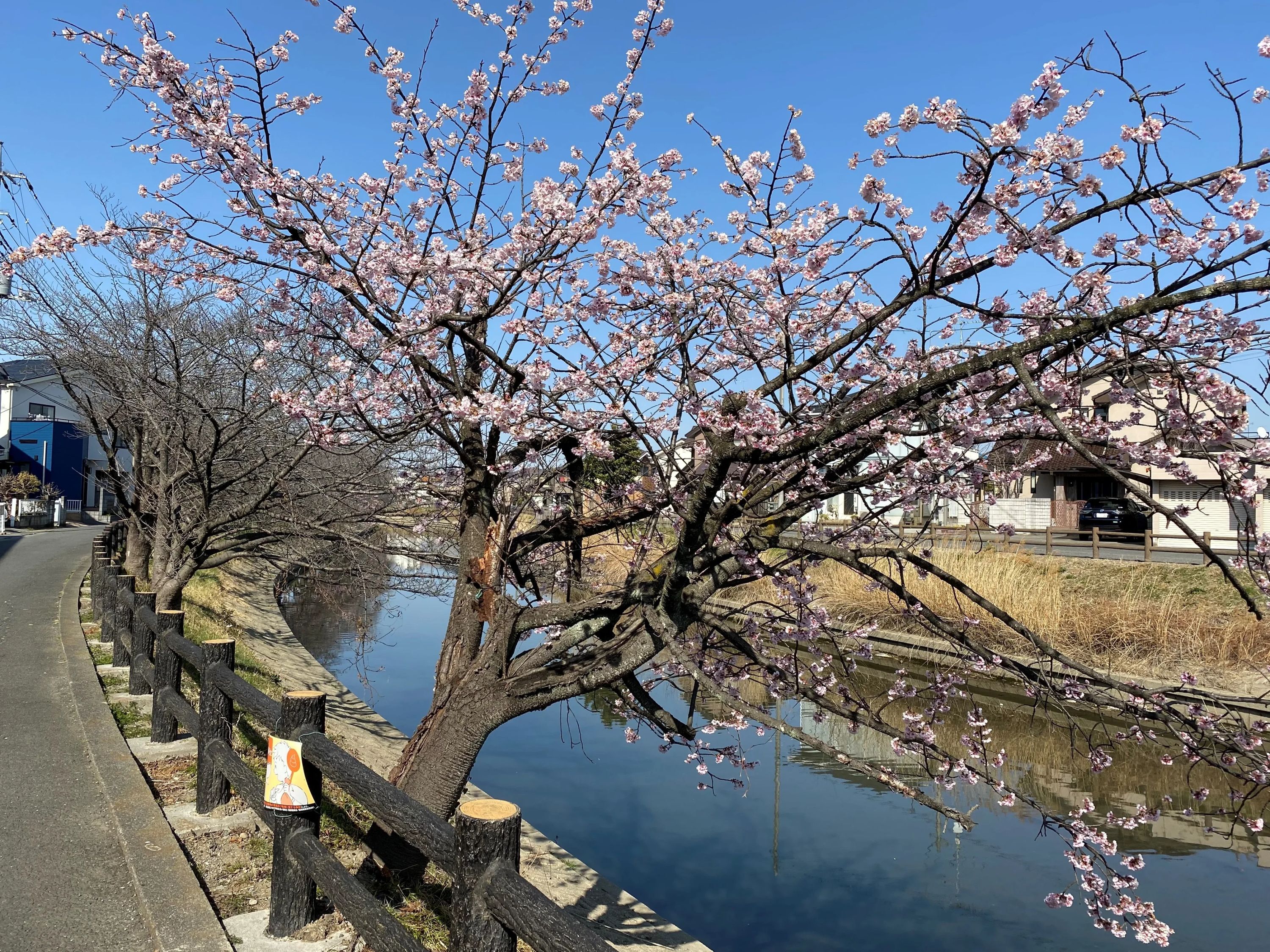 市民パソコン塾 鴻巣校のサムネイル画像 2