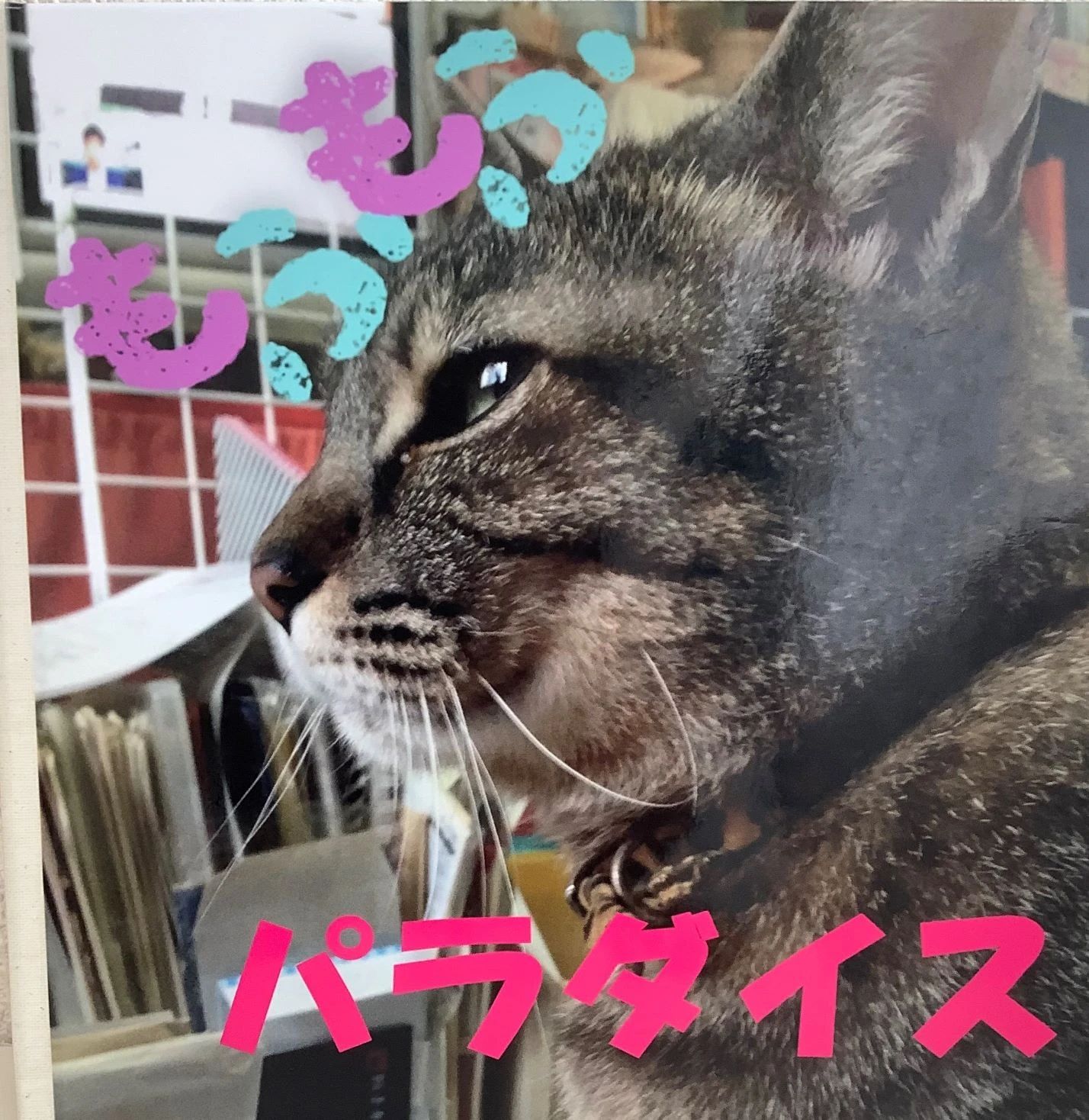 市民パソコン塾 多治見校のサムネイル画像 4