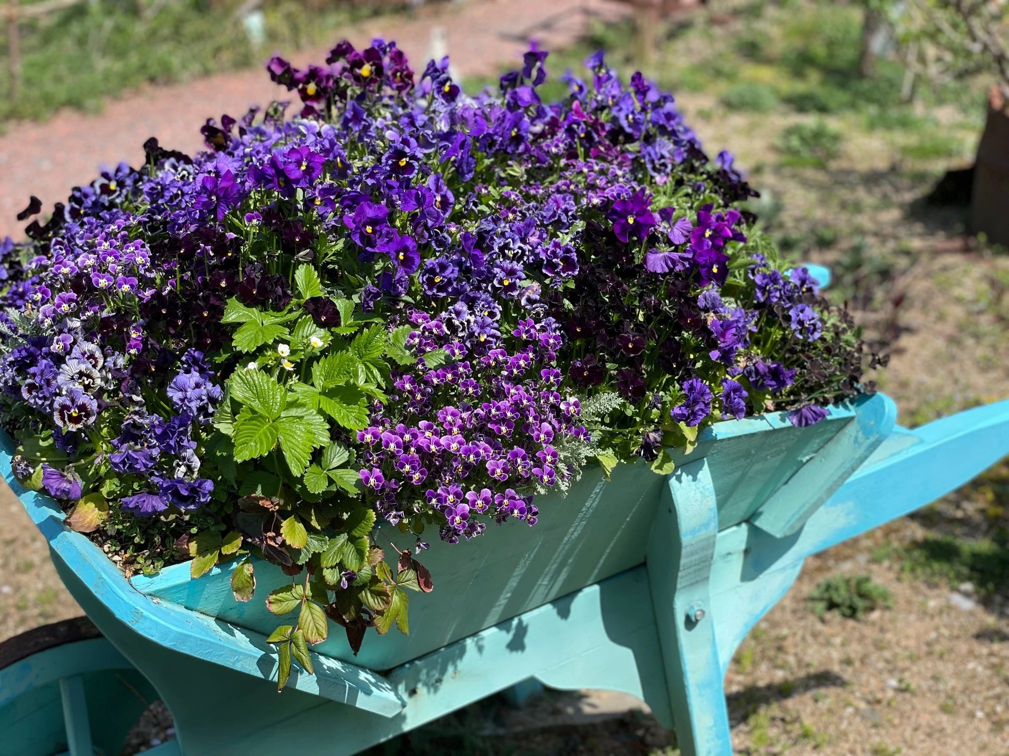 市民パソコン塾 岐阜瑞穂校のサムネイル画像 3