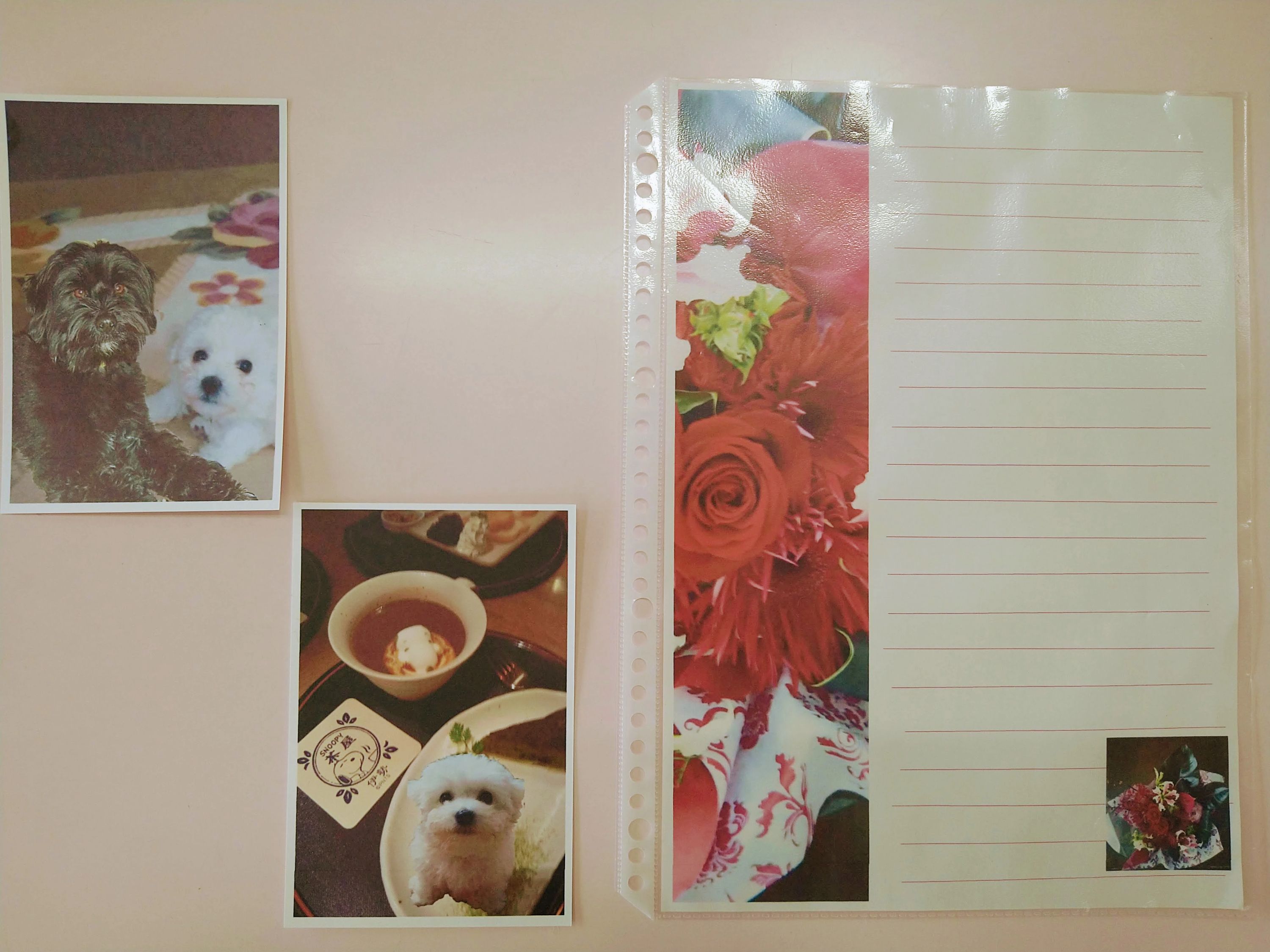 市民パソコン塾 イオンタウン紫波校のサムネイル画像 5