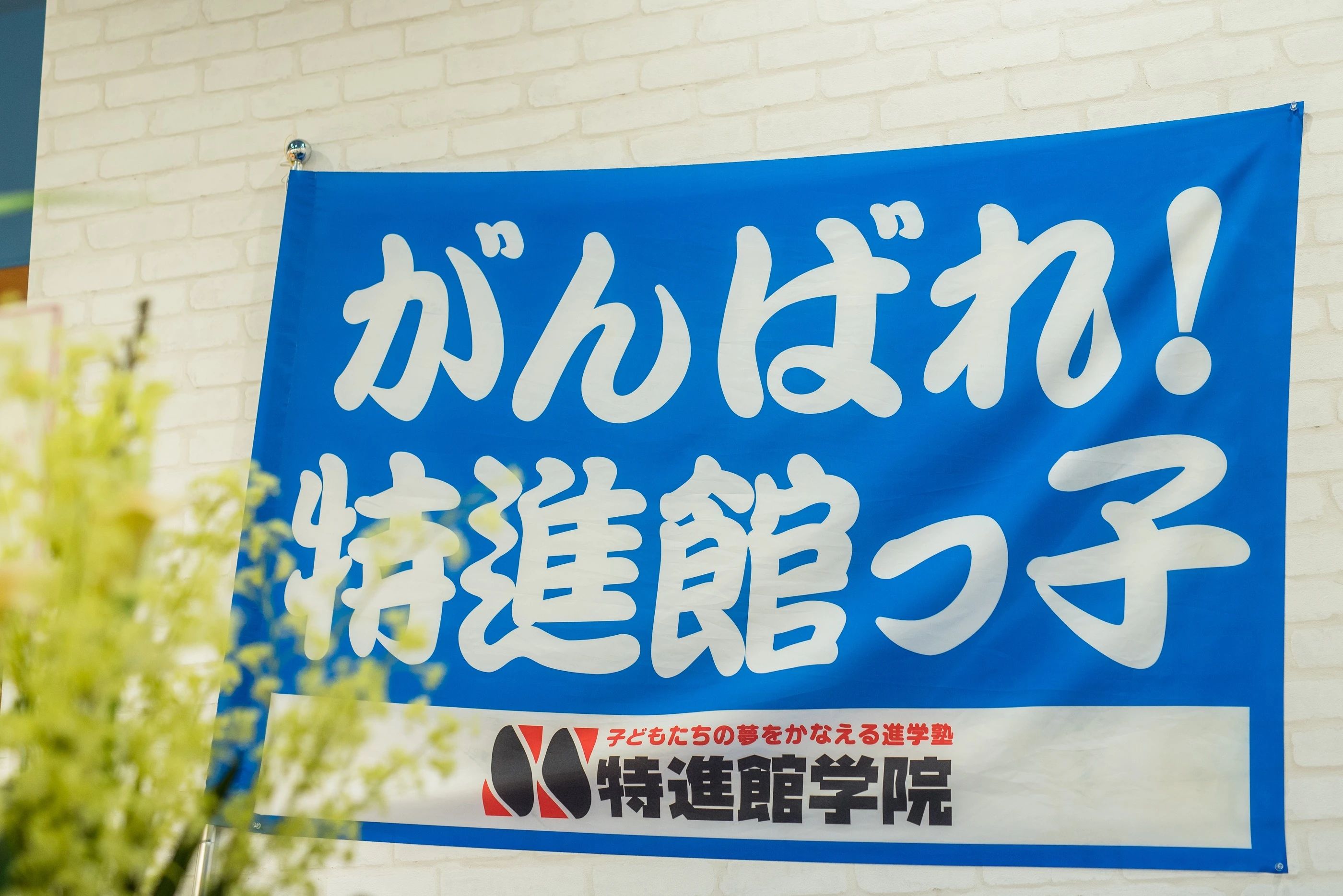 もののしくみ研究室 特進館学院のメイン画像