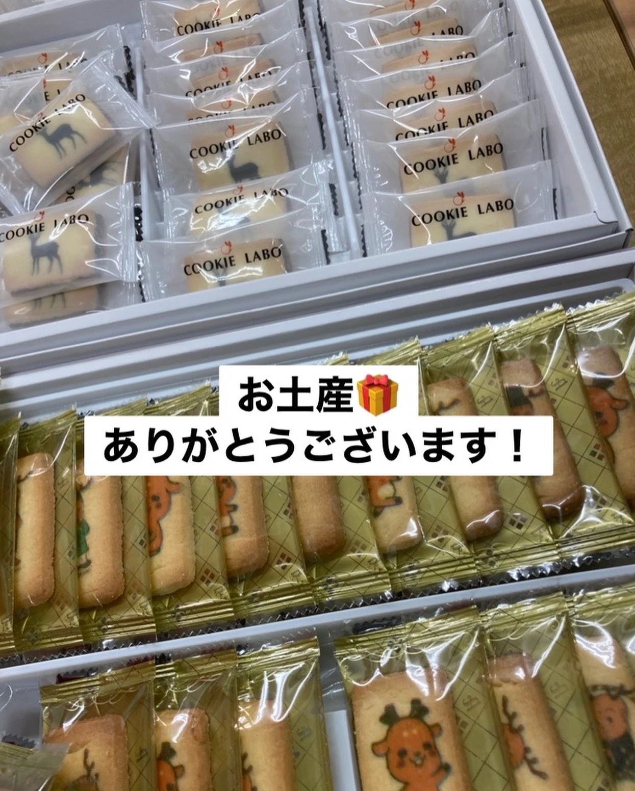 もののしくみ研究室 WinStar 個別ONEのメイン画像