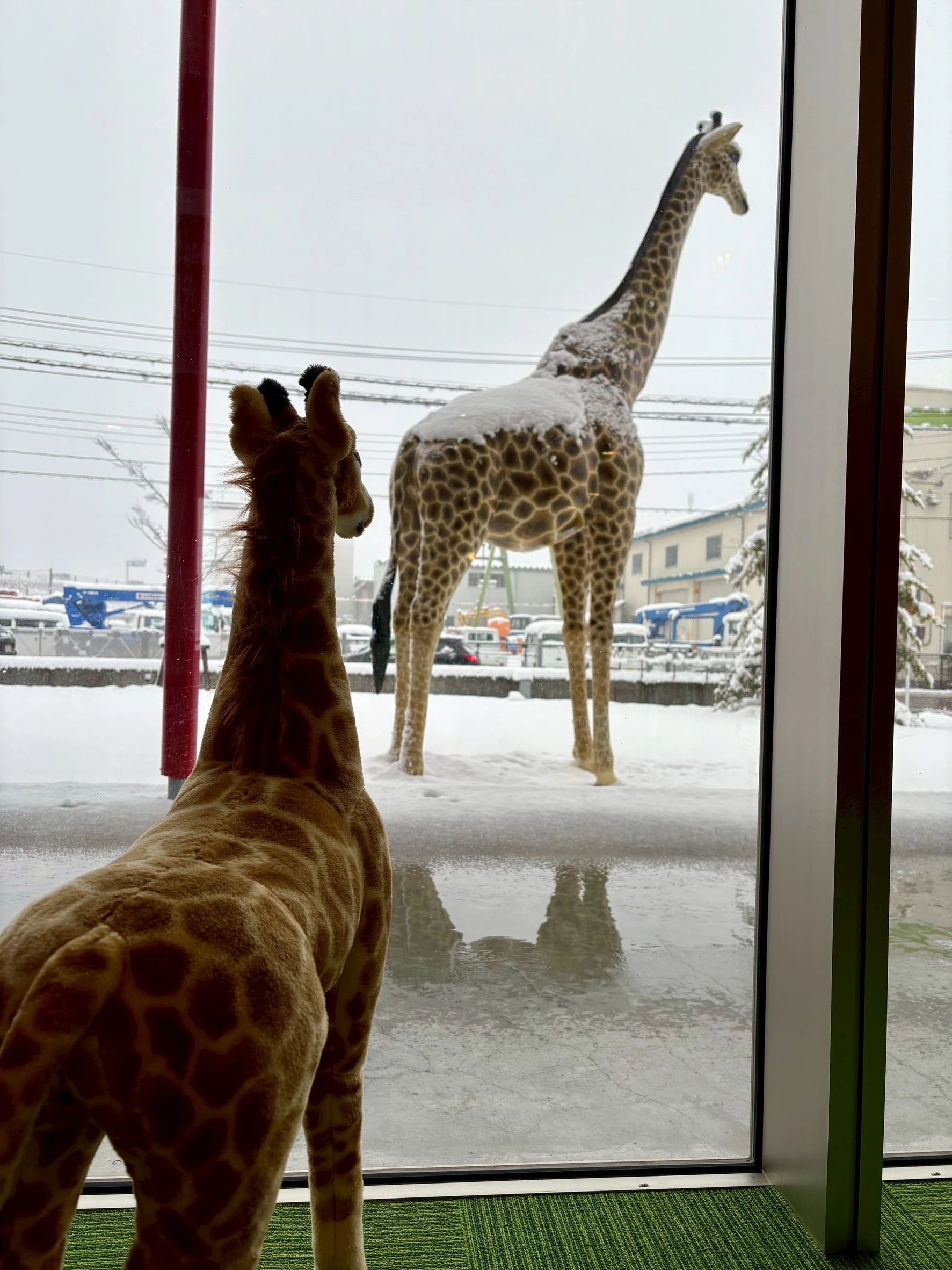 富士通オープンカレッジ F@IT Kids Club＜ファイトキッズクラブ＞ 長岡校のサムネイル画像 5