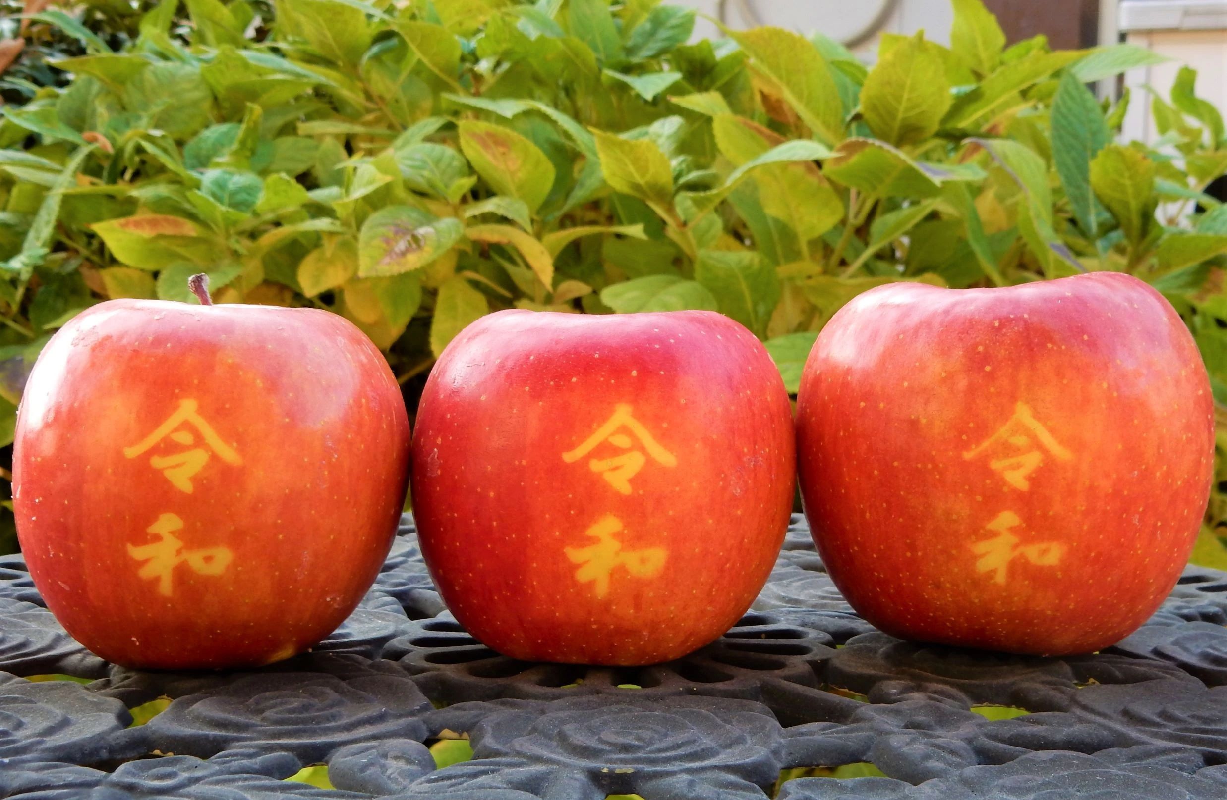 ロジカ式 岩成台西教室（バレッドキッズ）のサムネイル画像 3