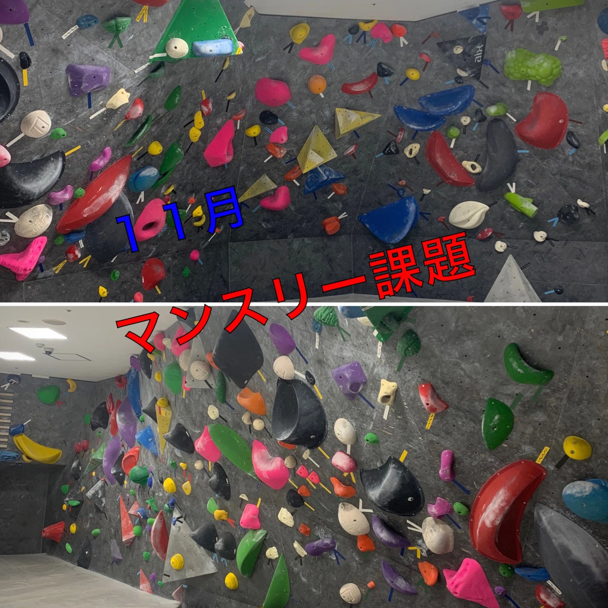 グラビティリサーチ 岸和田 ボルダリングのサムネイル画像 5