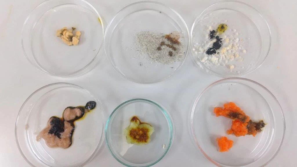 キッズアース播磨町校のサムネイル画像 4