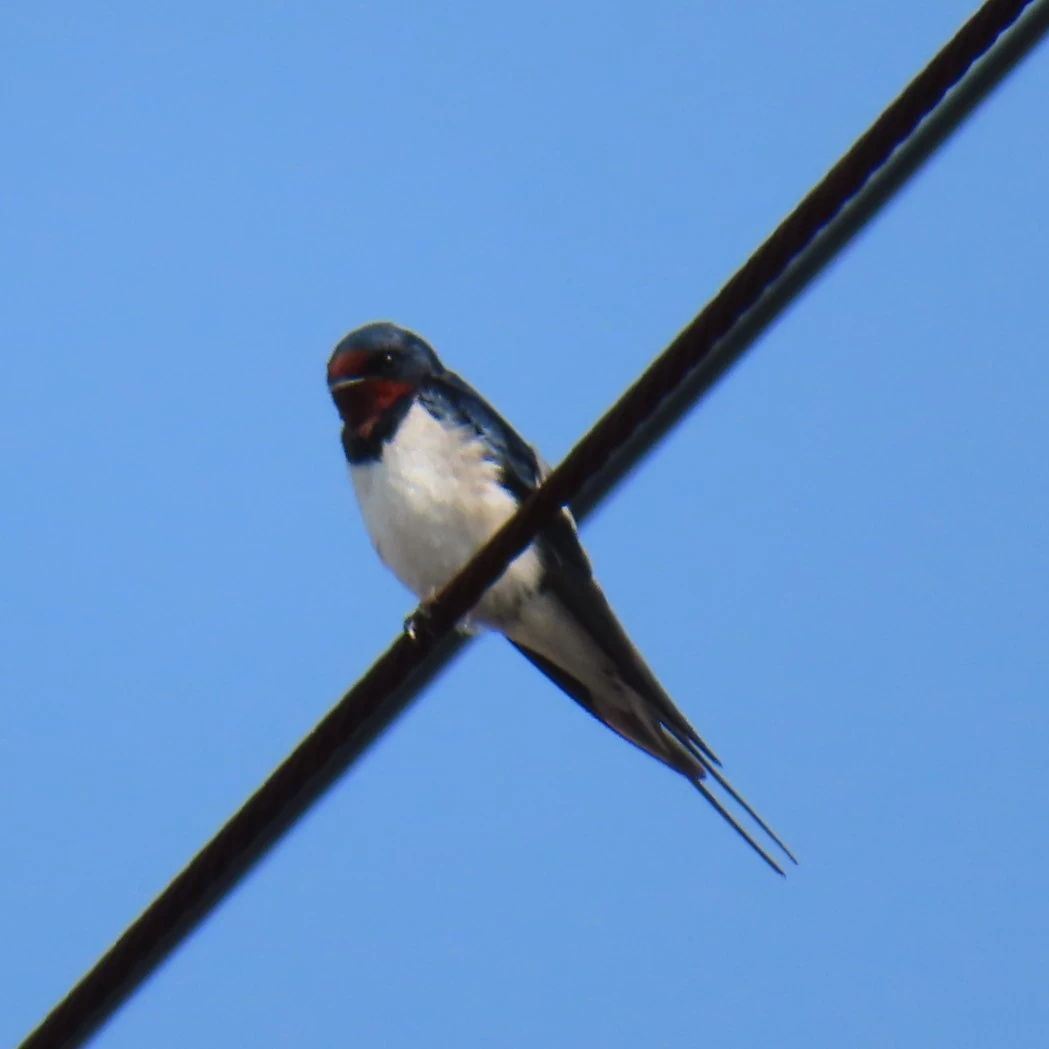 キッズアース播磨町校のサムネイル画像 5