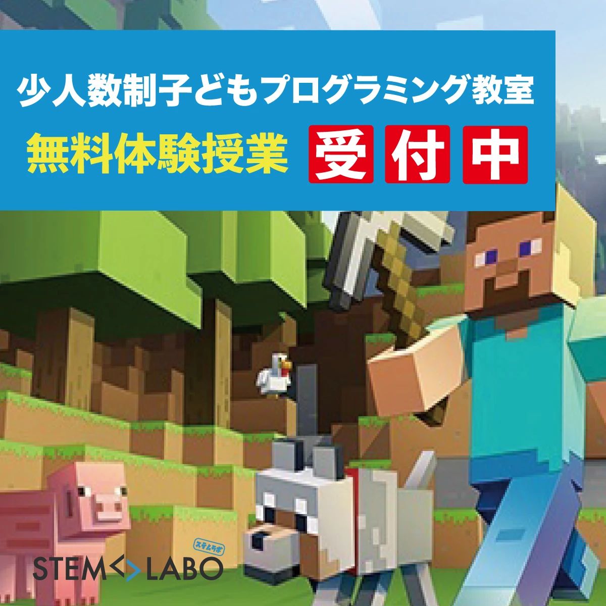 STEM☆LABO 都筑ふれあいの丘教室のサムネイル画像 4