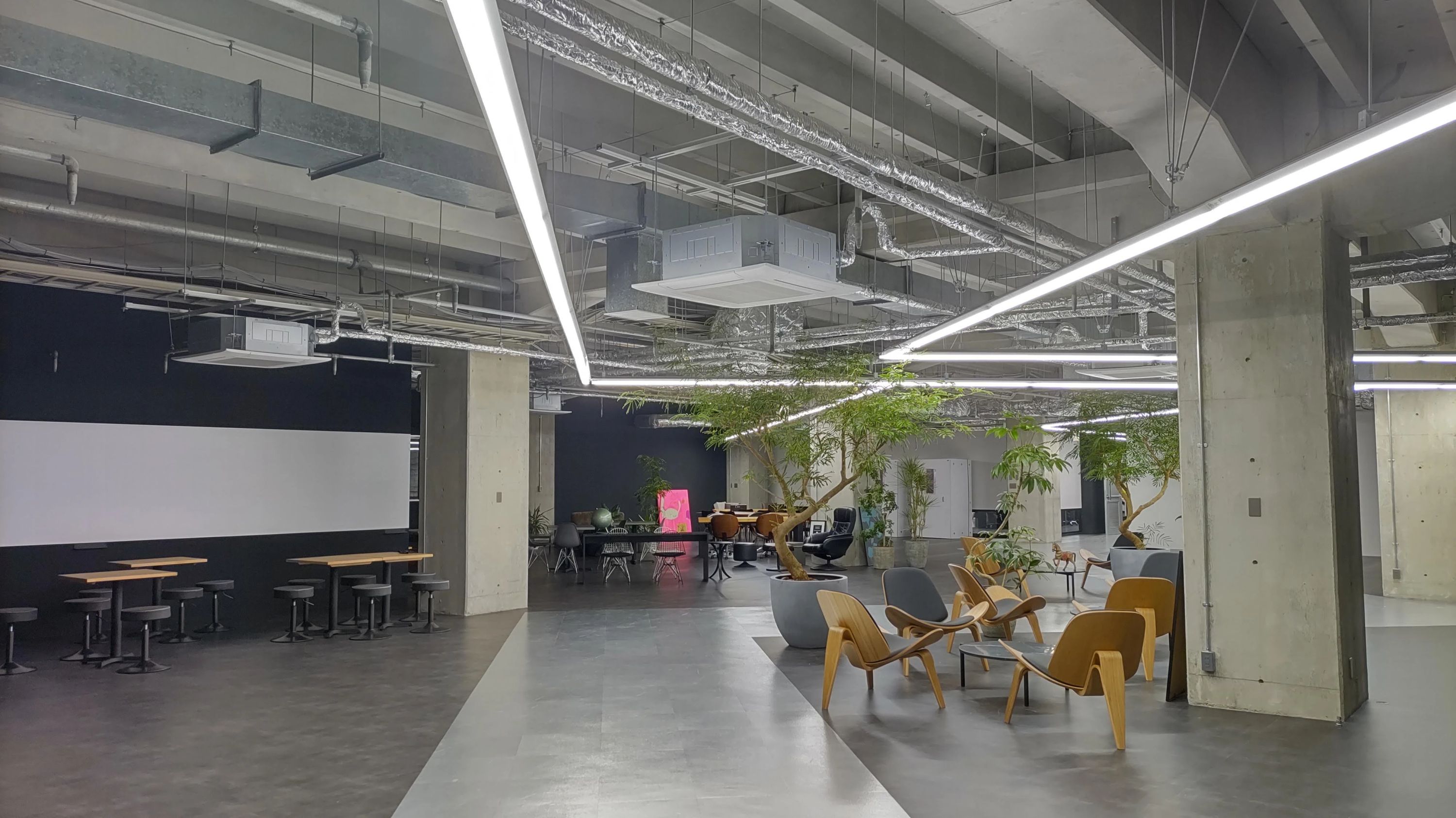 サイガクのメイン画像