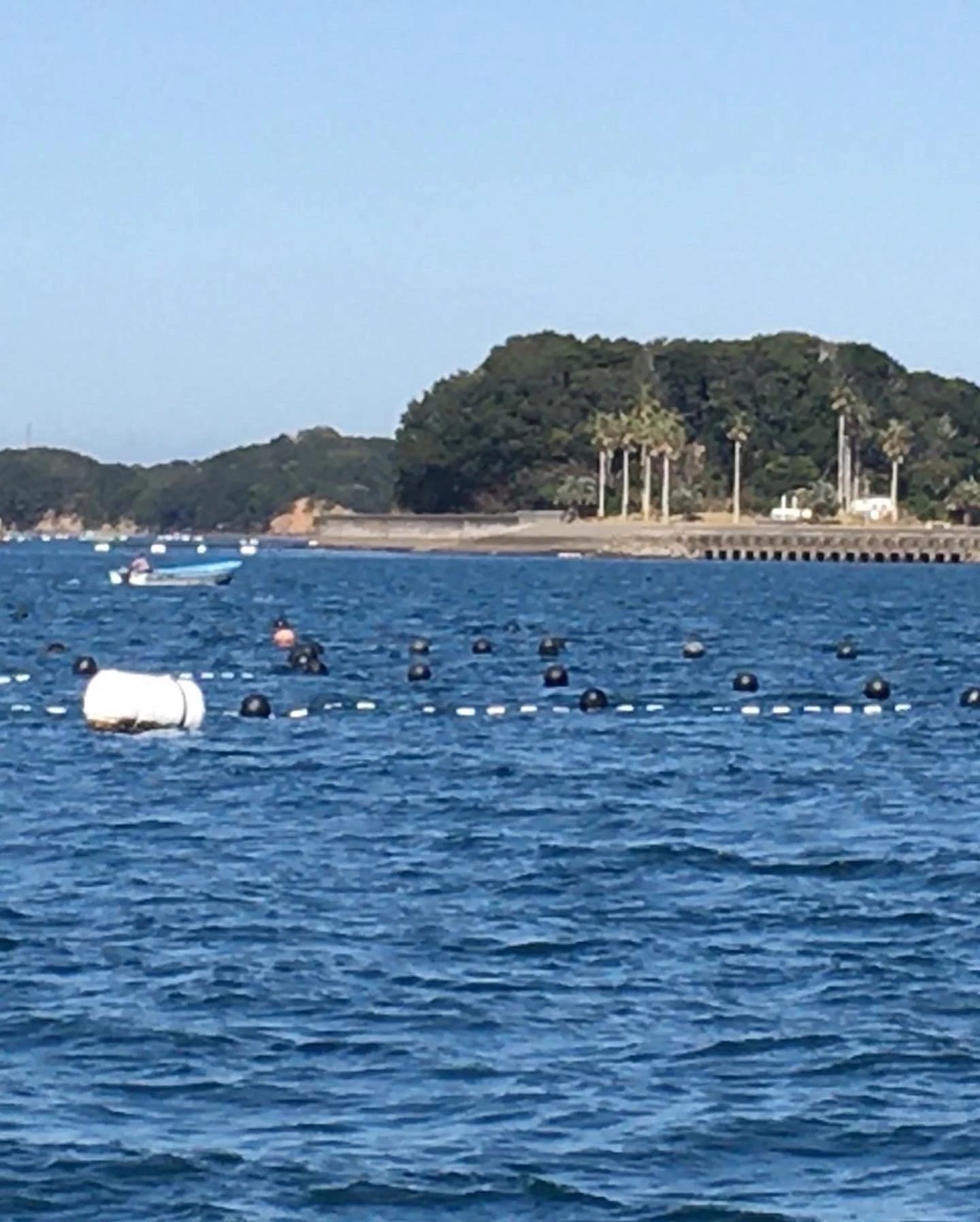 キッズプログラミングGO！ 堀江本校のサムネイル画像 3