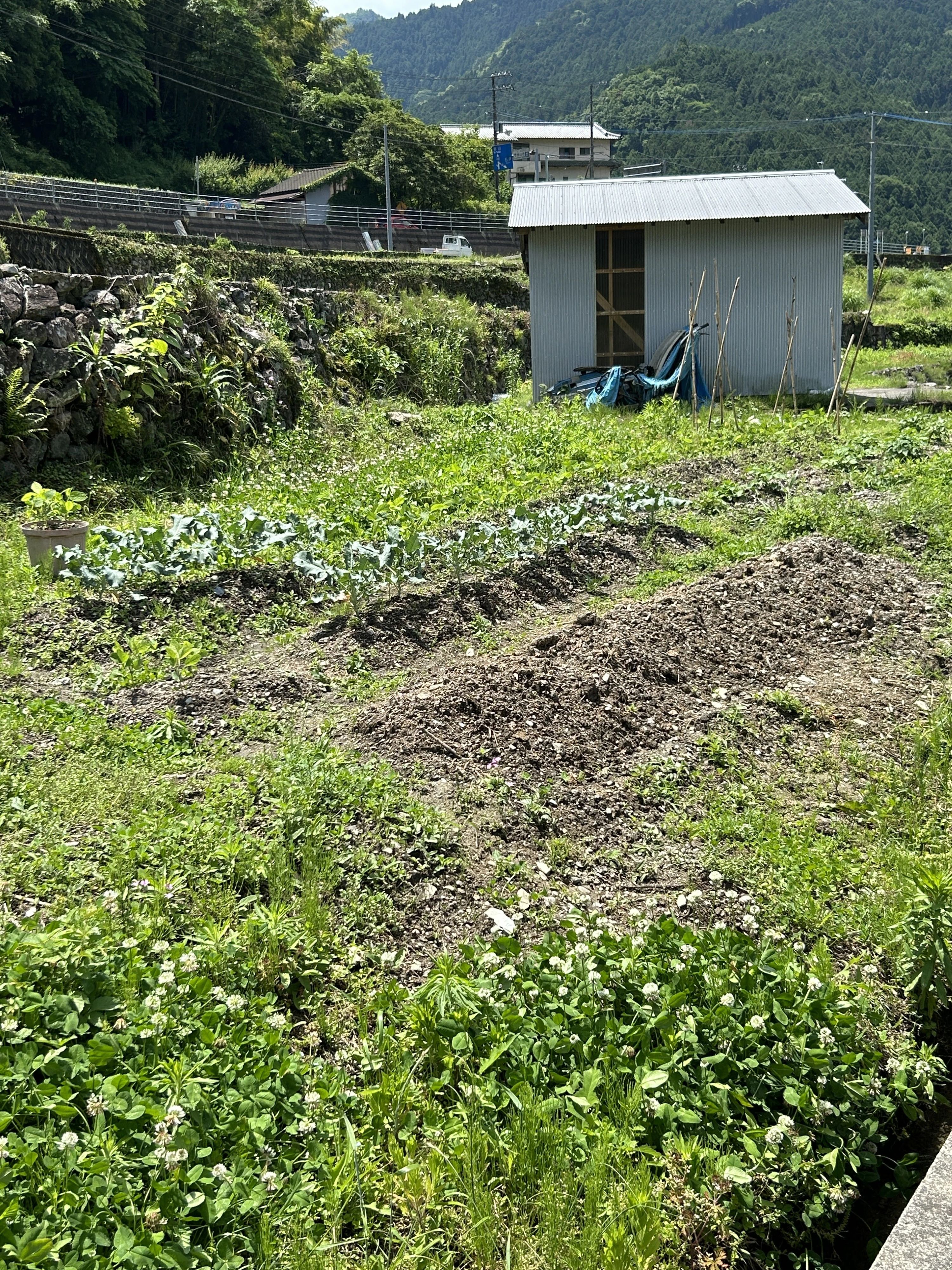 キッズプログラミングGO！ 堀江本校のサムネイル画像 5