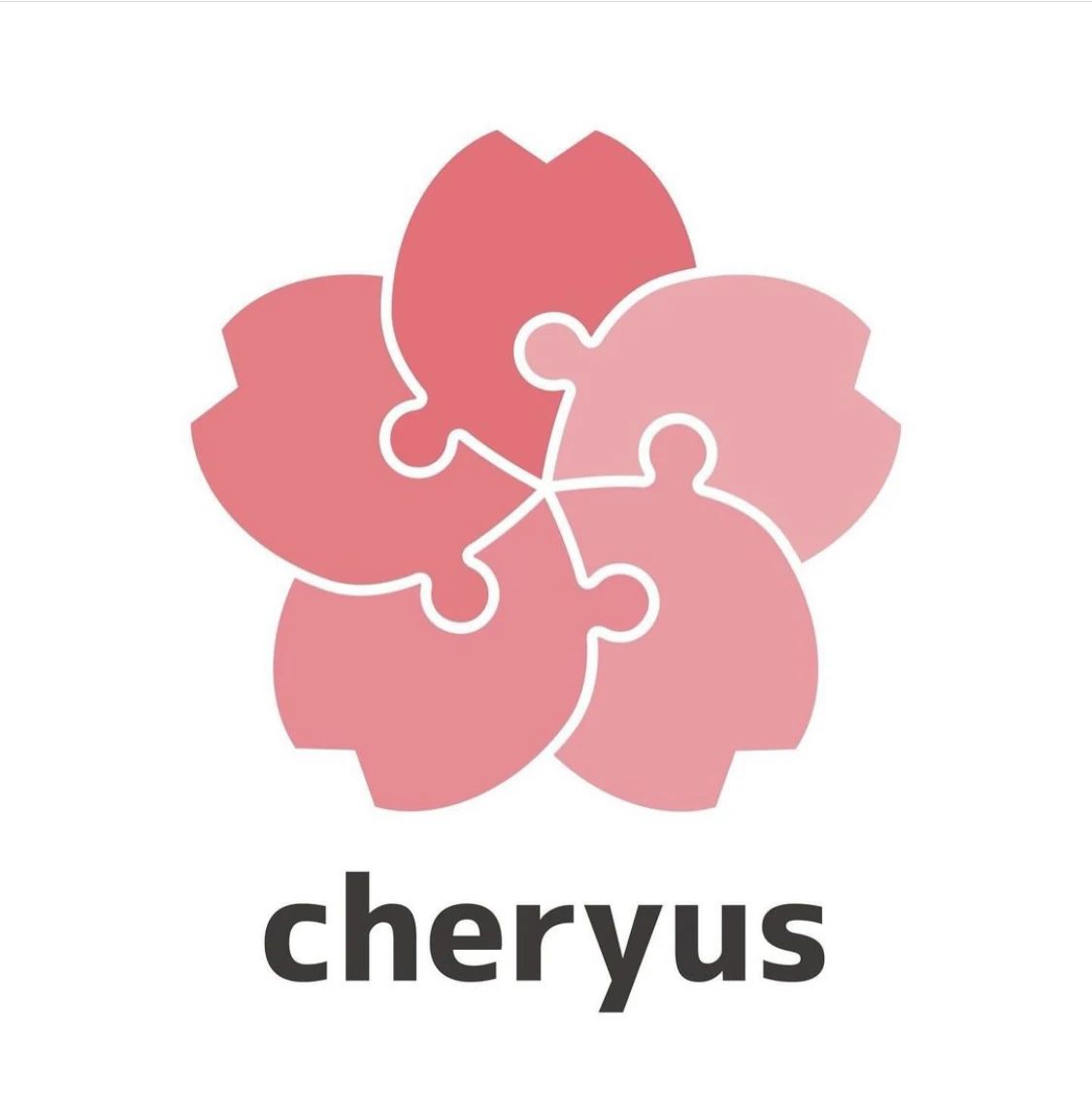 チェリアスプログラミングスクールのサムネイル画像 2