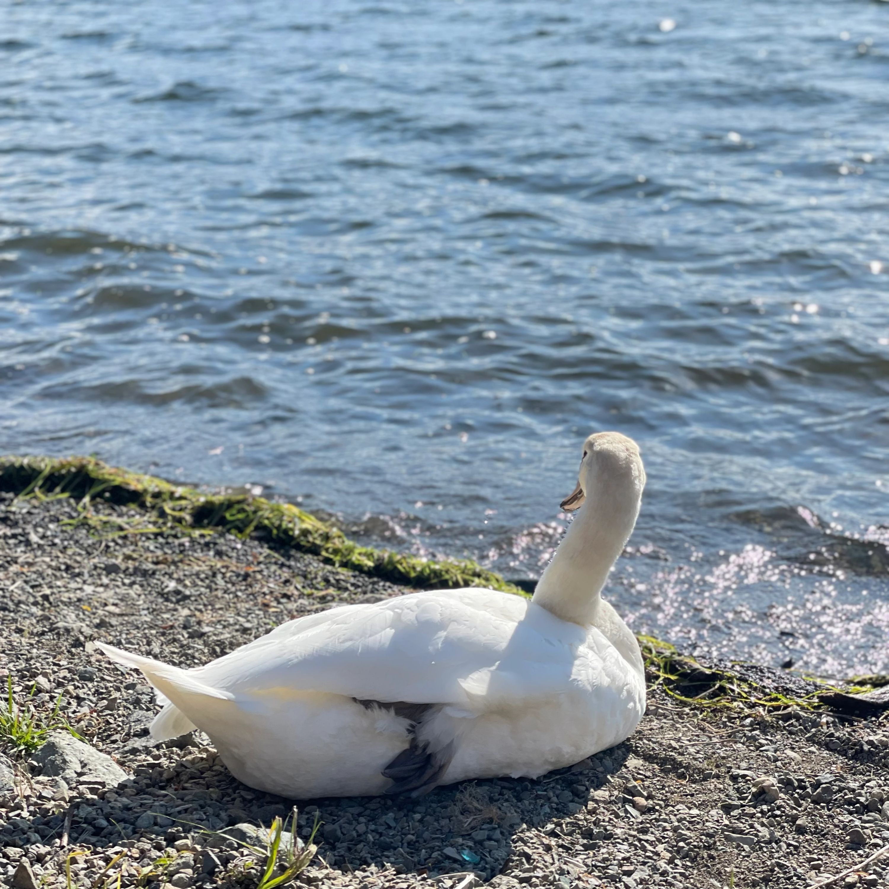 プラスワン 富士山教室のサムネイル画像 5