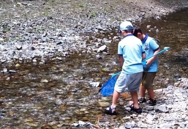 ボーイスカウト豊中第３団のサムネイル画像 4