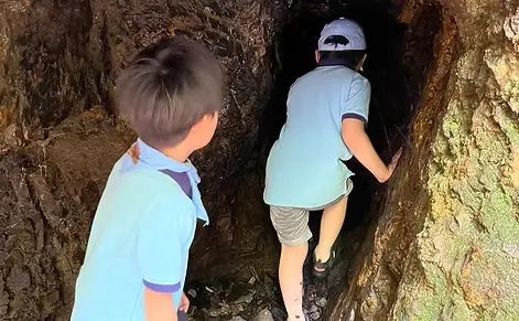 ボーイスカウト豊中第３団のサムネイル画像 5