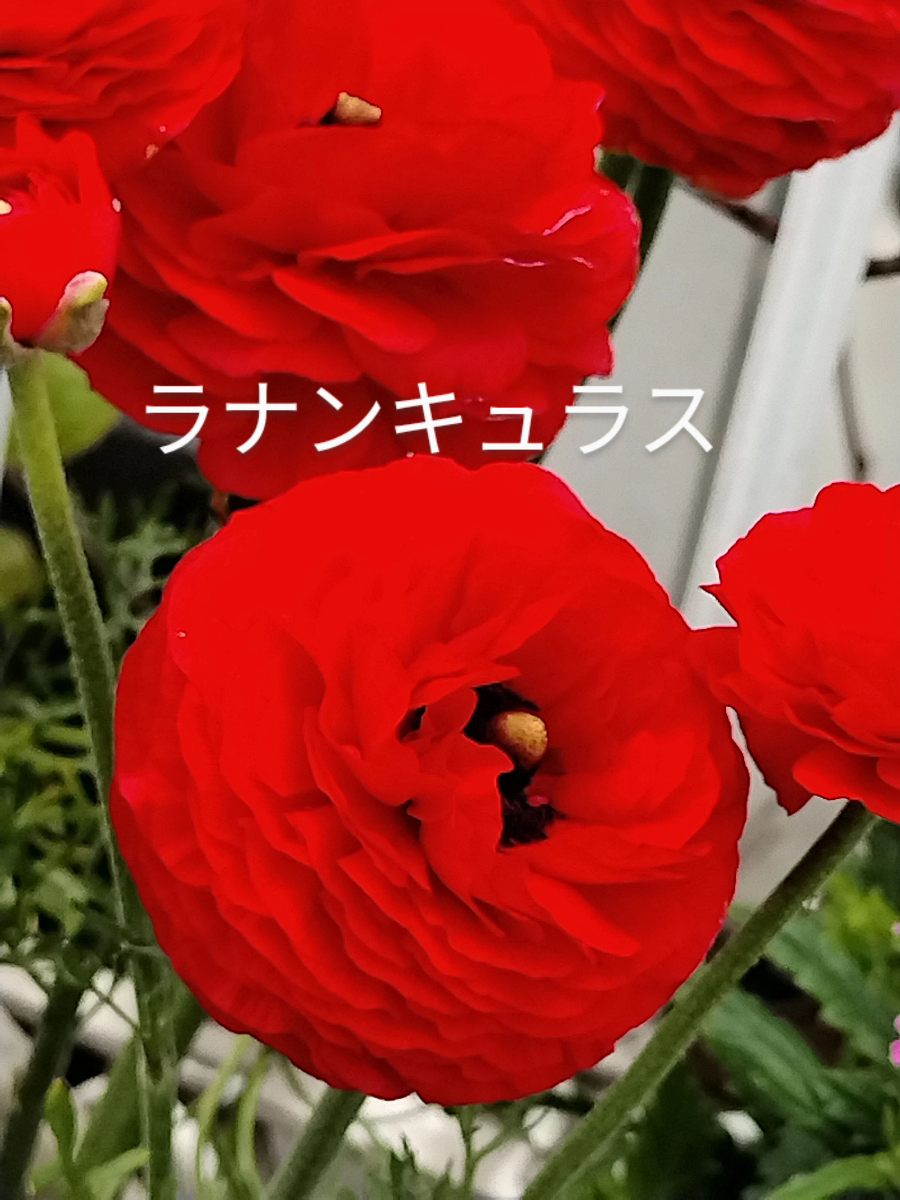 黒川速算塾石原教場のメイン画像