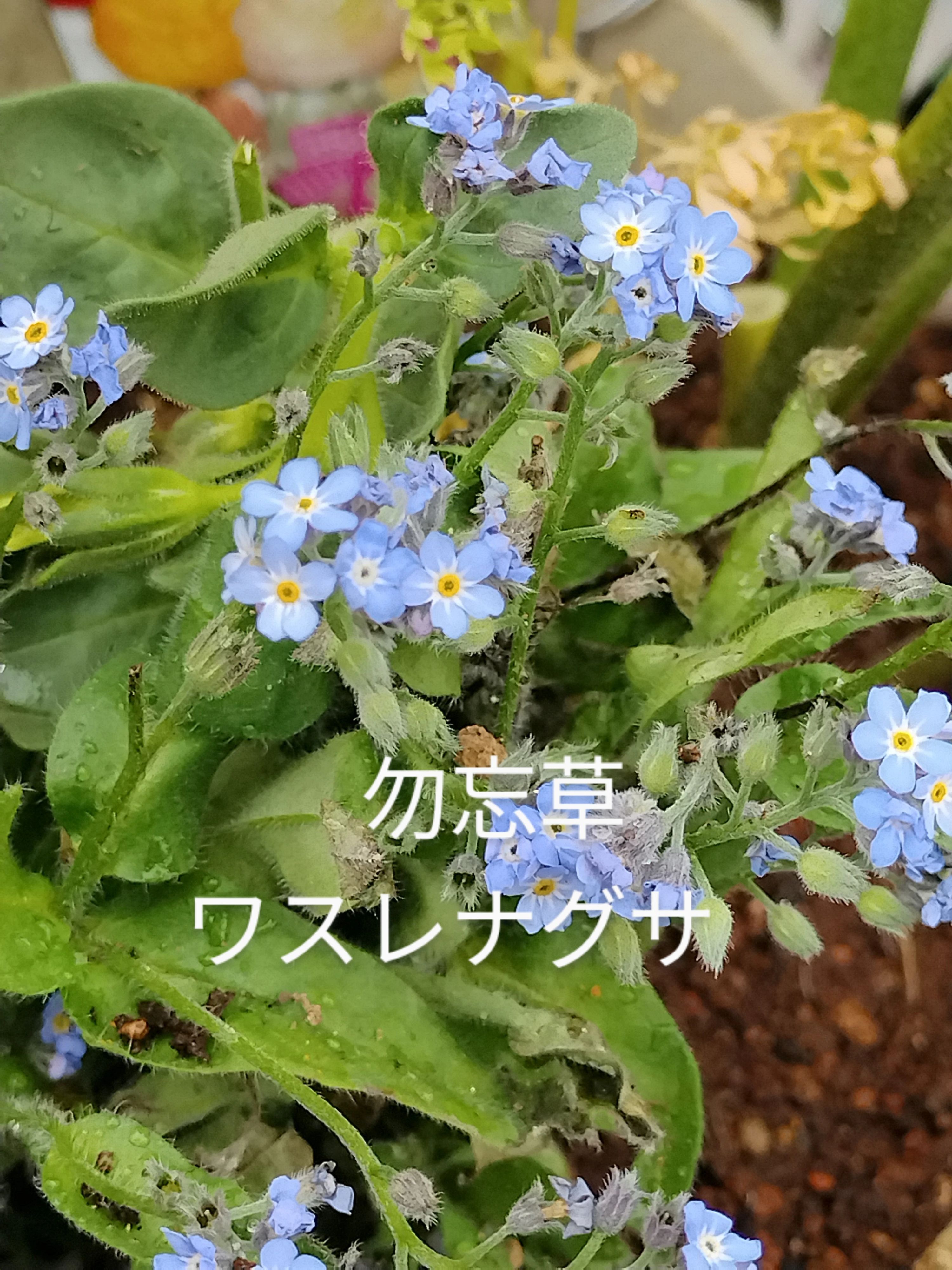 黒川速算塾石原教場のサムネイル画像 4