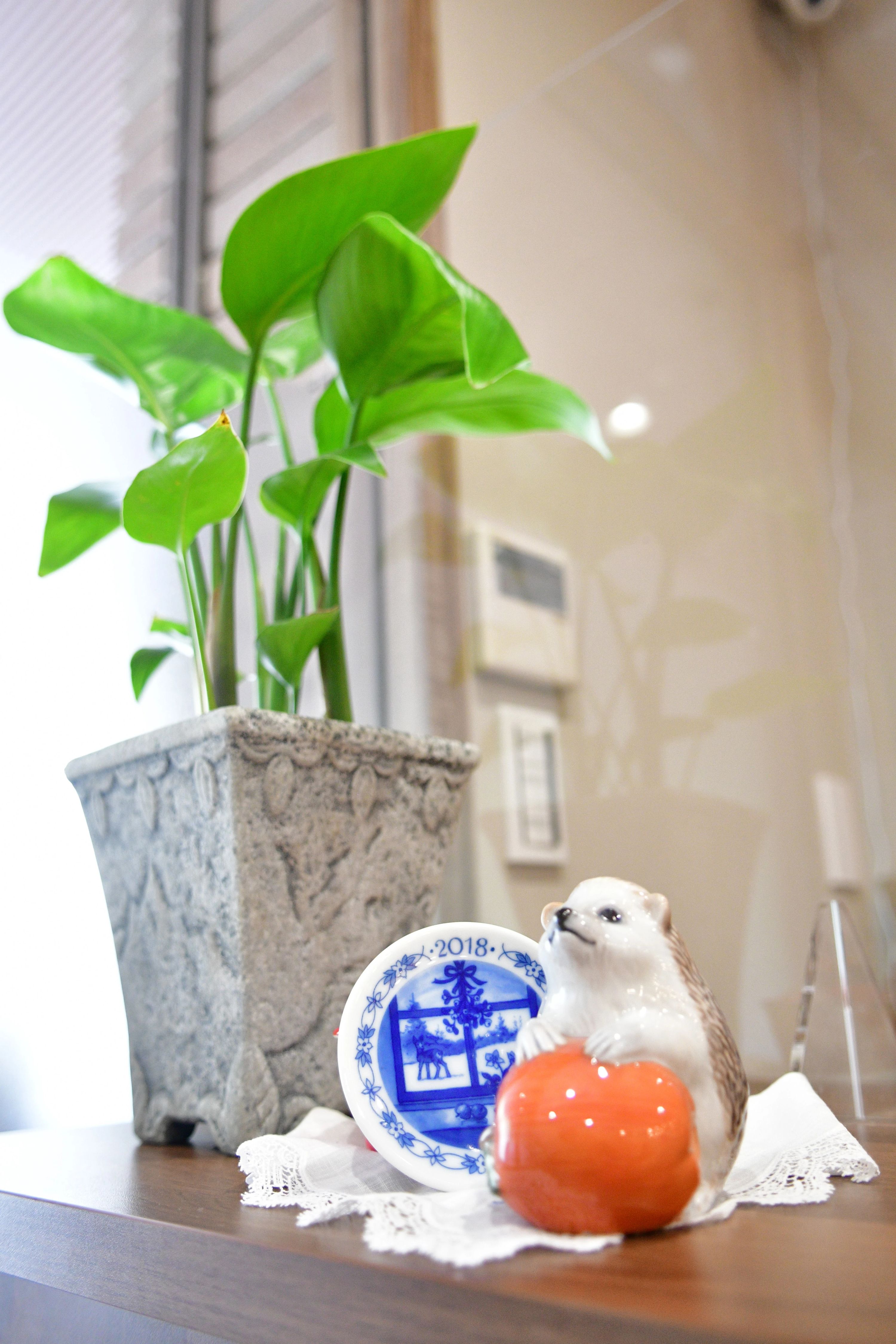 慶楓会 広尾ガーデンヒルズ教室のサムネイル画像 4