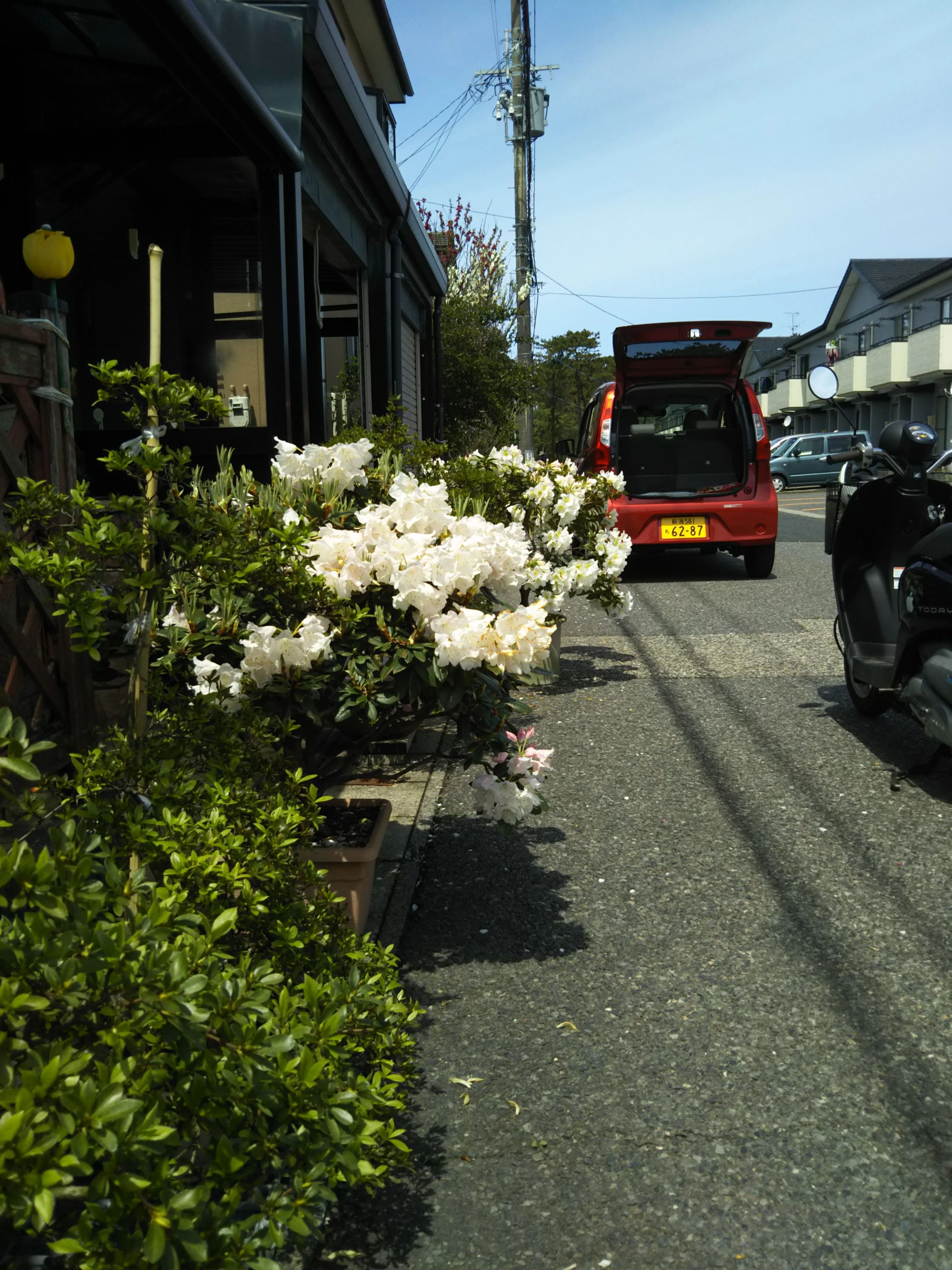 青山サッカー少年団 新潟市立青山小学校グラウンドのサムネイル画像 3