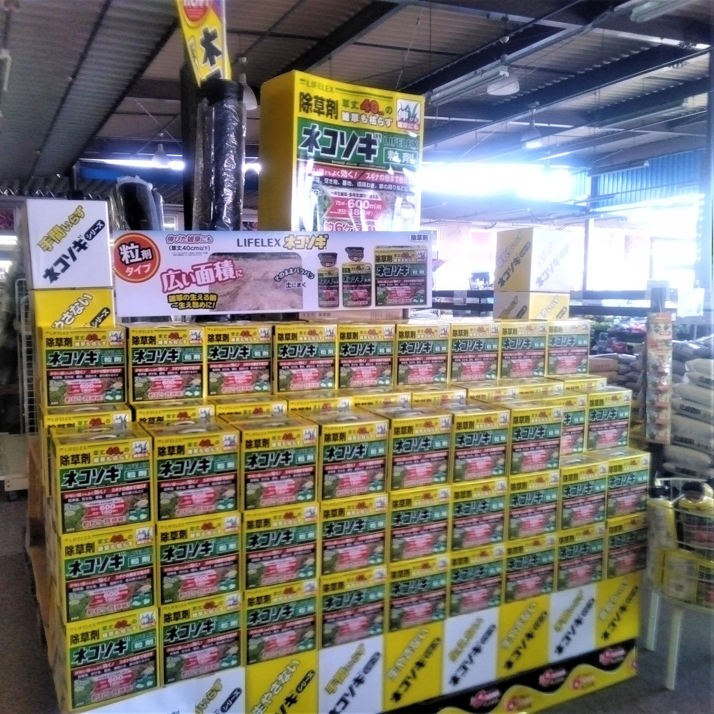 F.C KONAN(コーナン) 尾西運動場のサムネイル画像 4