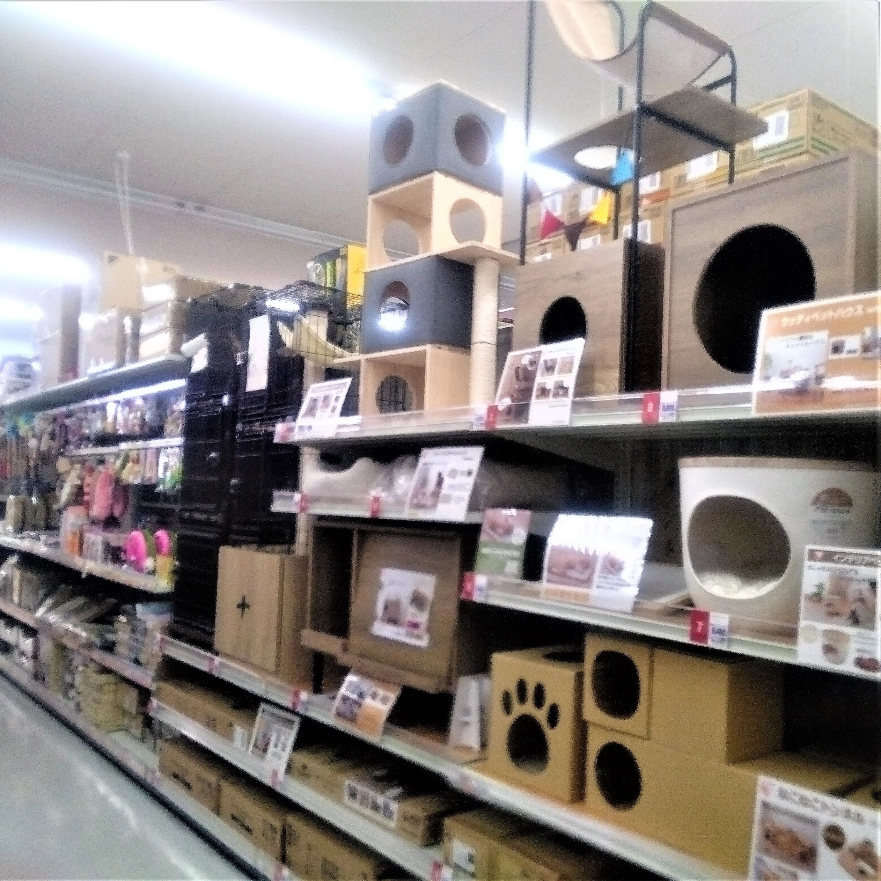 F.C KONAN(コーナン) 木曽川運動場のサムネイル画像 2