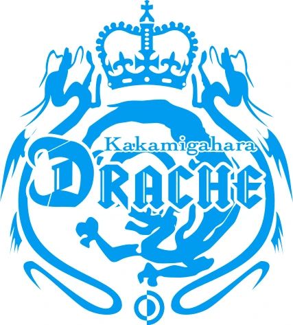 Football Club DRACHE(ドラッツェ） 各務原ナイタースクールのメイン画像