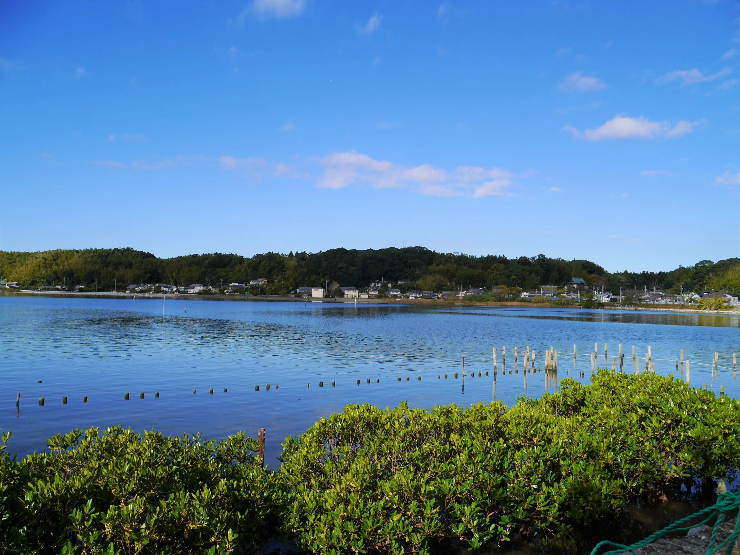 オイスカサッカークラブ オイスカ高等学校のメイン画像