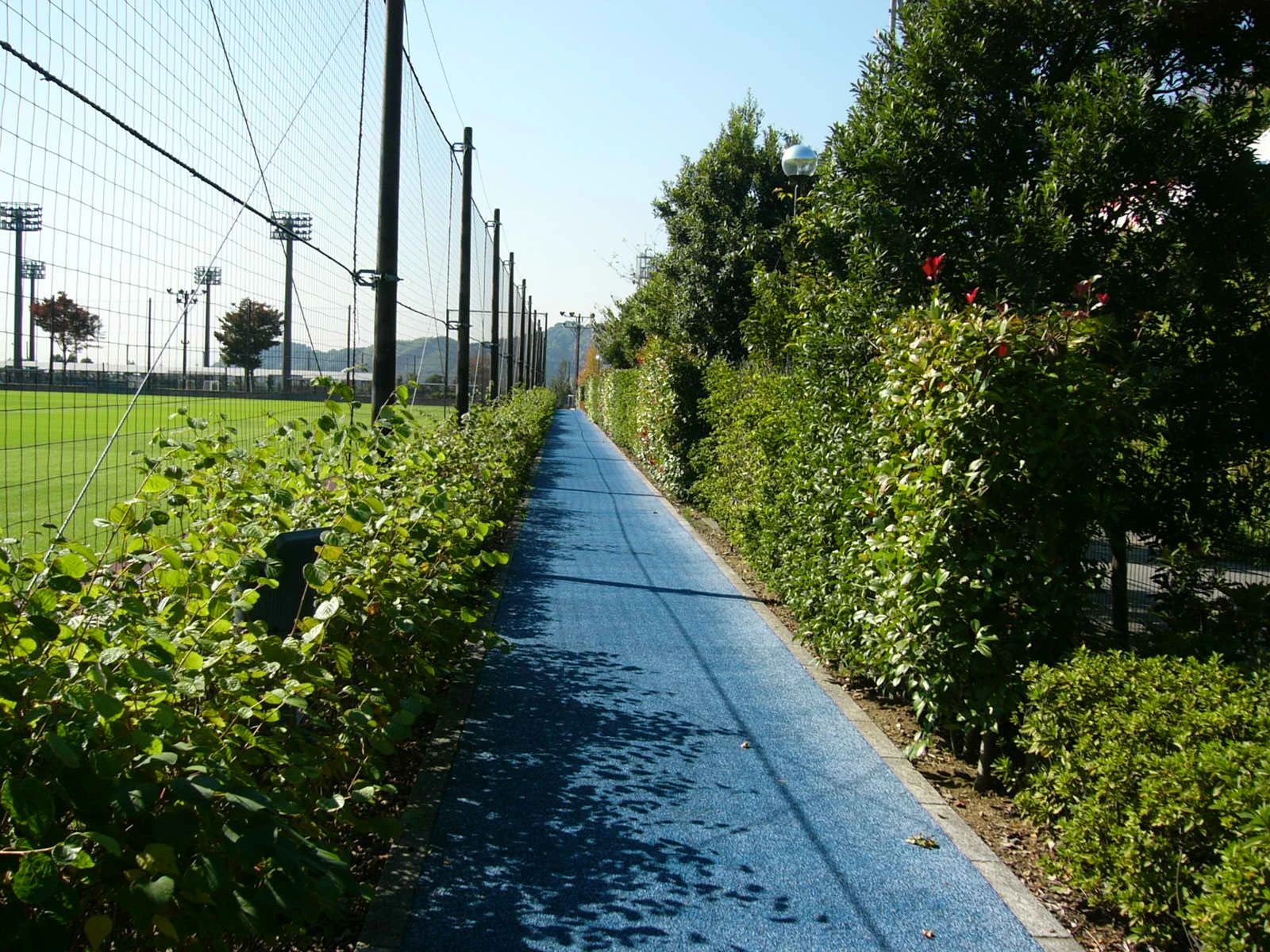 清水FCチャイルド 清水ナショナルトレーニングセンターのサムネイル画像 2