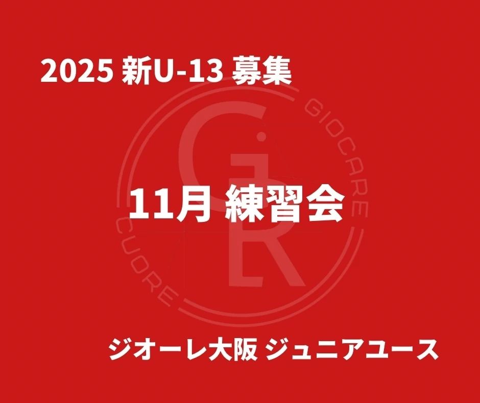 ジオーレ大阪 サッカー 国分町ふれあい広場のメイン画像