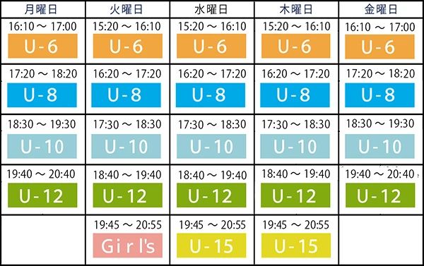 ディオススポーツクラブ サッカー トライフットボールフィールド西宮浜のサムネイル画像 2