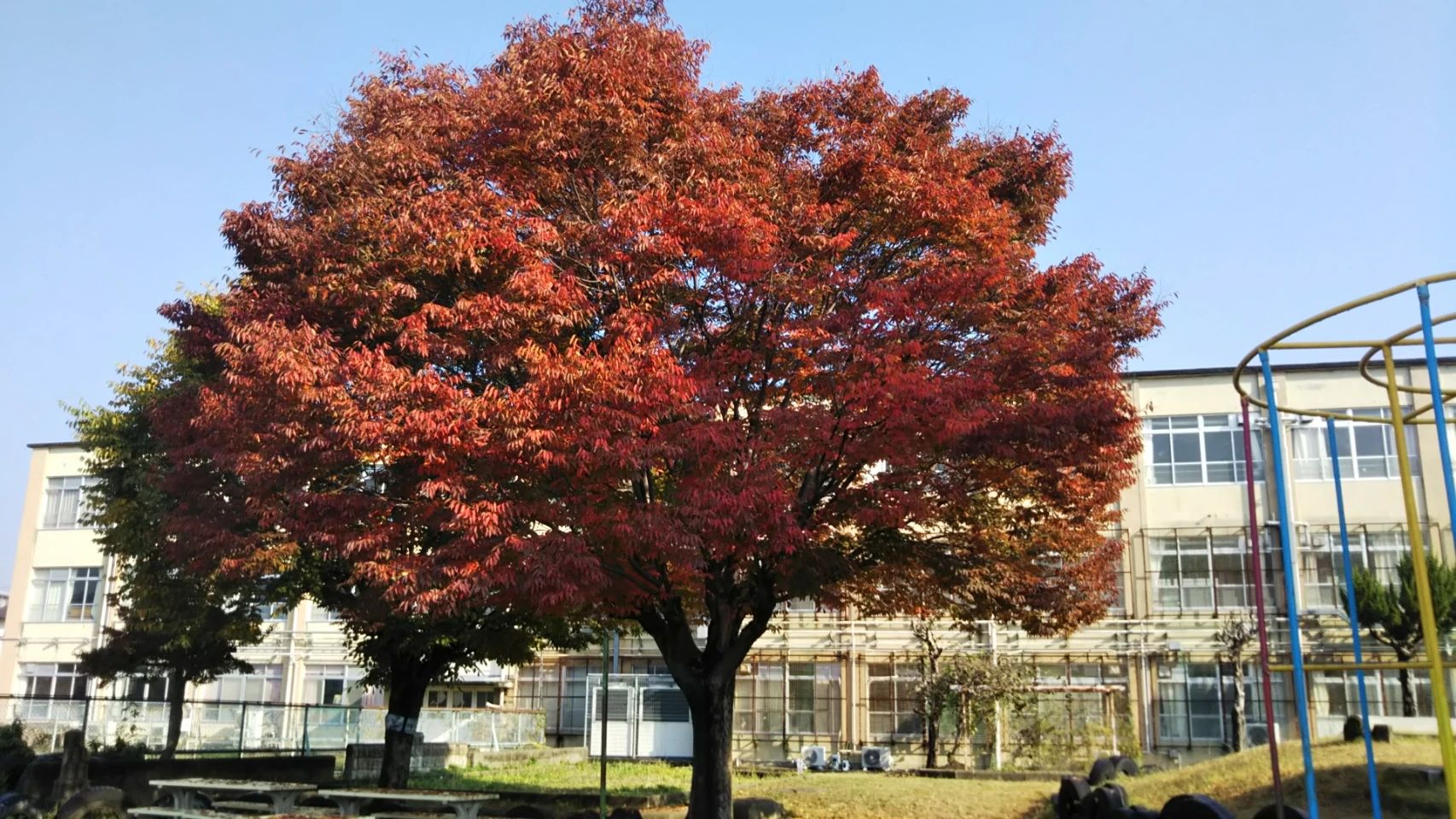 南太秦サッカースポーツ少年団 京都市立南太秦小学校グランドのメイン画像