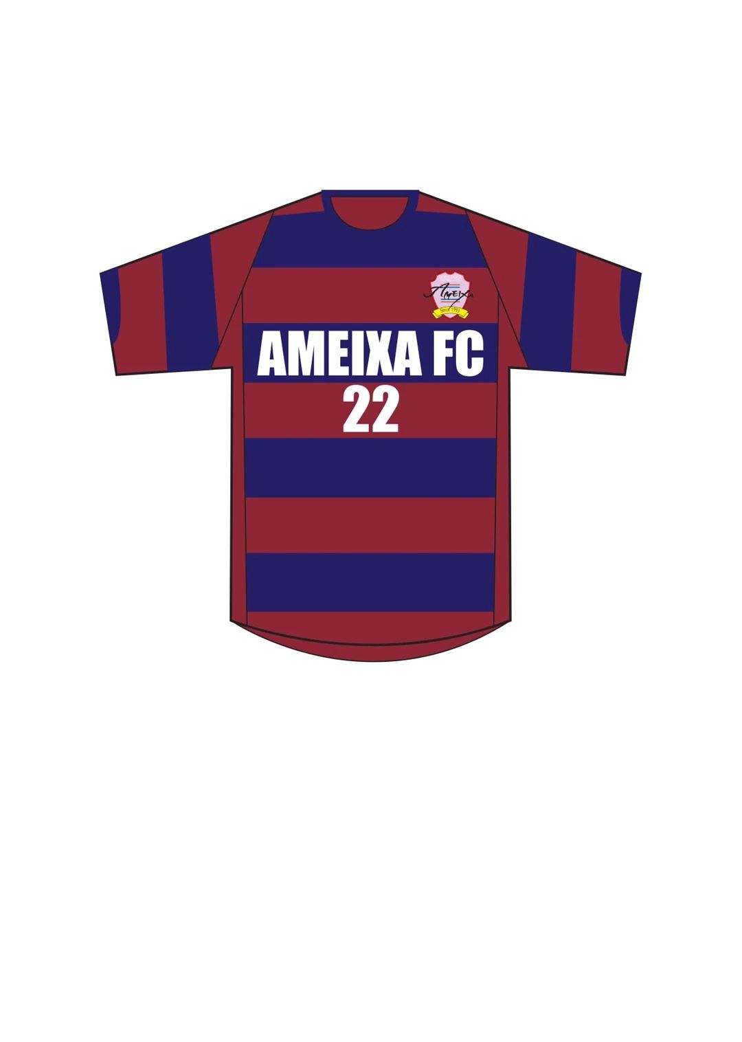 AMEIXA FOOTBALL CLUB(アメクシアフットボールクラブ) 太宰府西小学校のメイン画像