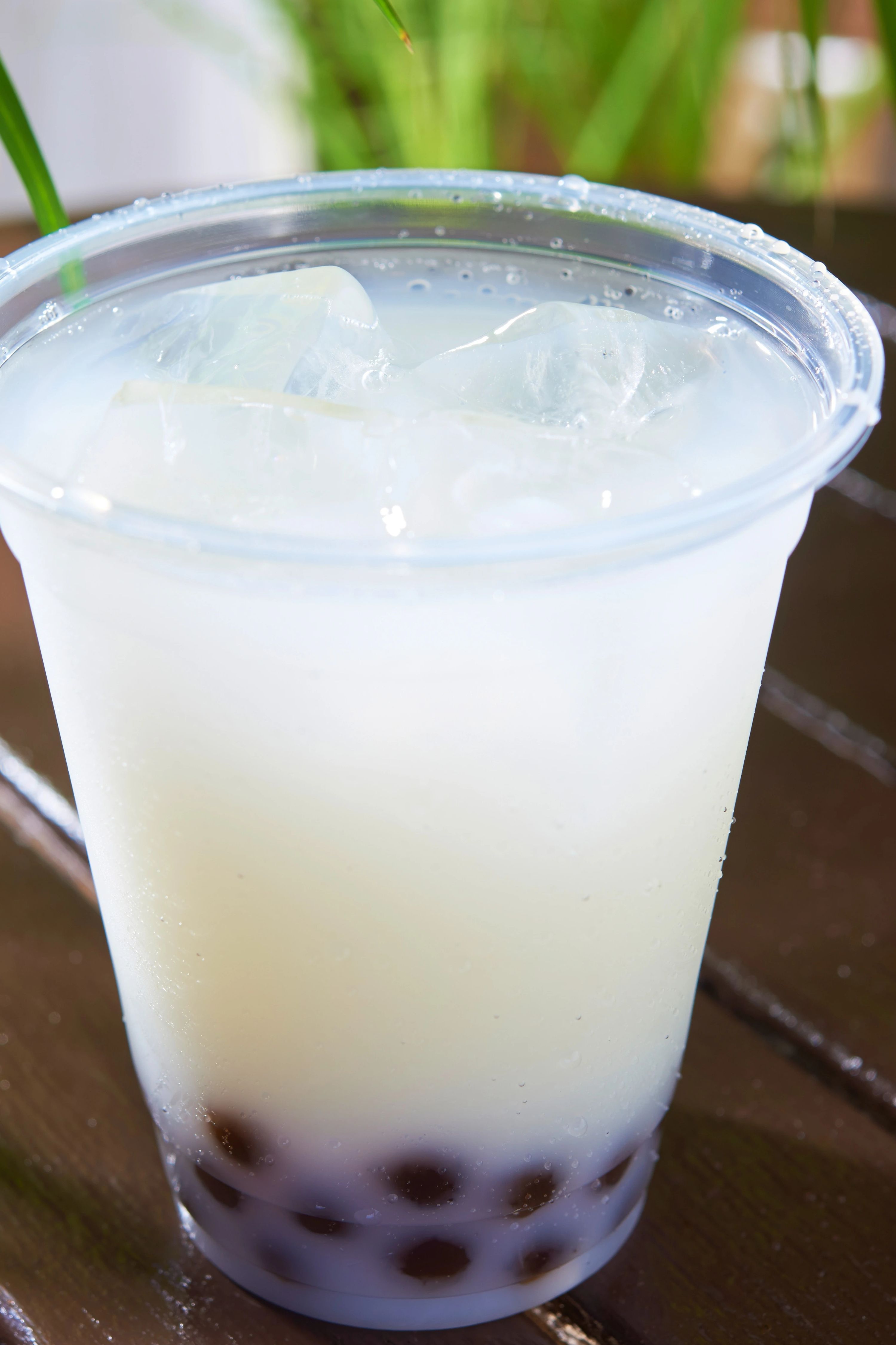 ソレッソ熊本 ソレッソ天草のサムネイル画像 2